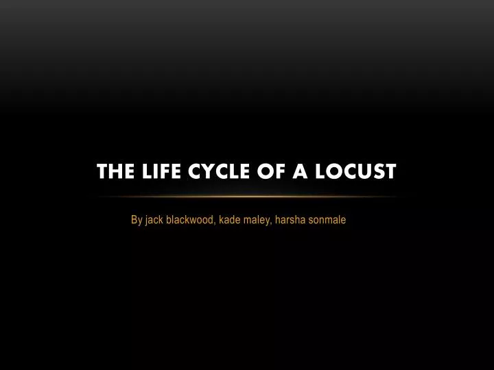 the life cycle of a locust