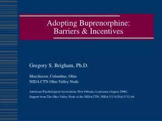 Adopting Buprenorphine: Barriers &amp; Incentives
