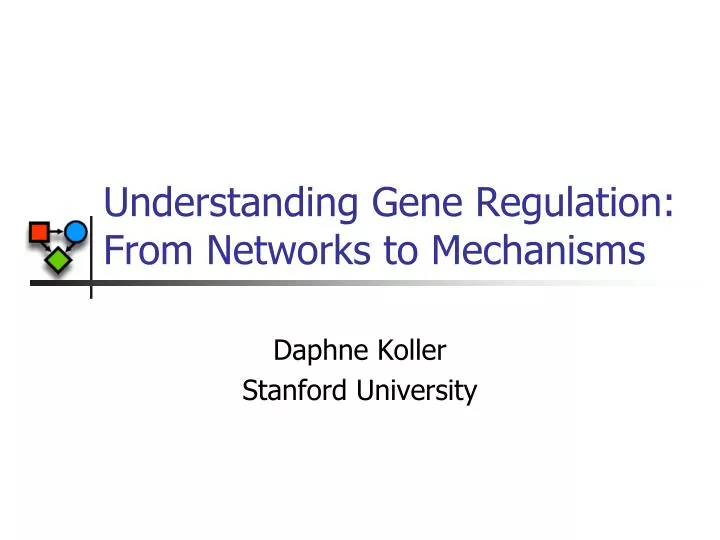 understanding gene regulation from networks to mechanisms