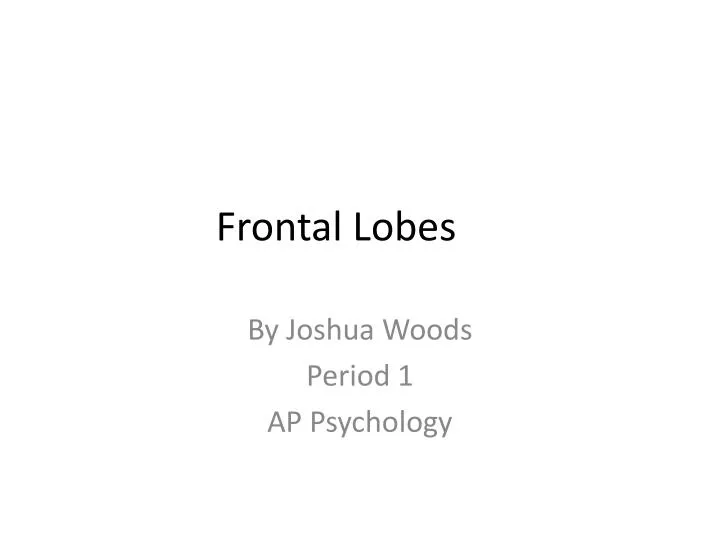 frontal lobes