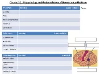 Chapter 3.2: Biopsychology and the Foundations of Neuroscience-The Brain