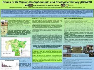 Bones of Ol Pejeta: Neotaphonomic and Ecological Survey (BONES)