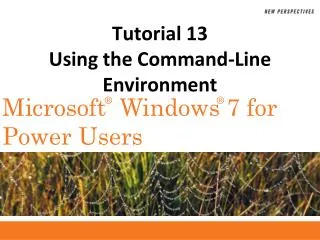 Tutorial 13 Using the Command-Line Environment
