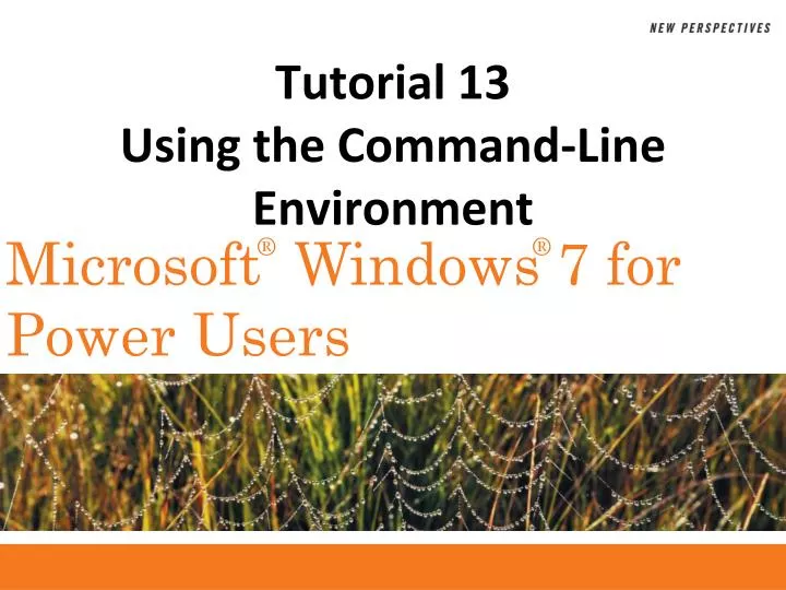 tutorial 13 using the command line environment