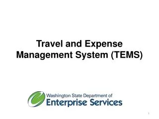 Travel and Expense Management System (TEMS)