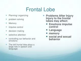 Frontal Lobe