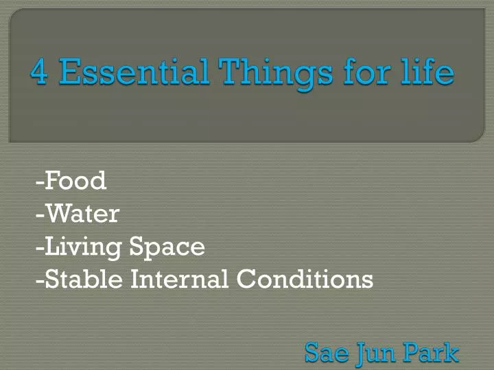 4 essential things for life