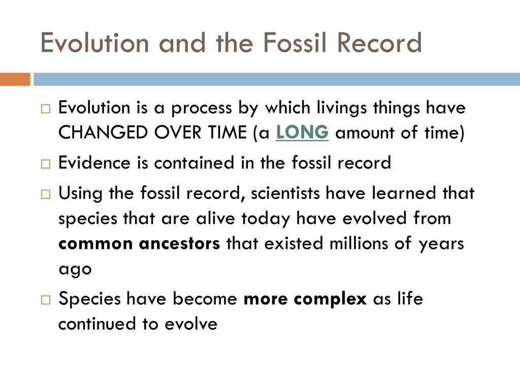 PPT - Evolution and the Fossil Record PowerPoint Presentation, free ...