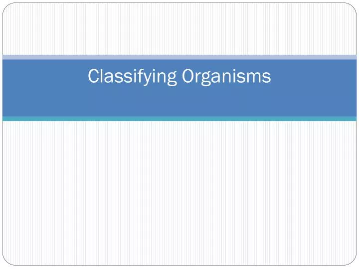 classifying organisms