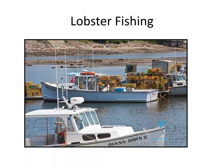 lobster fishing