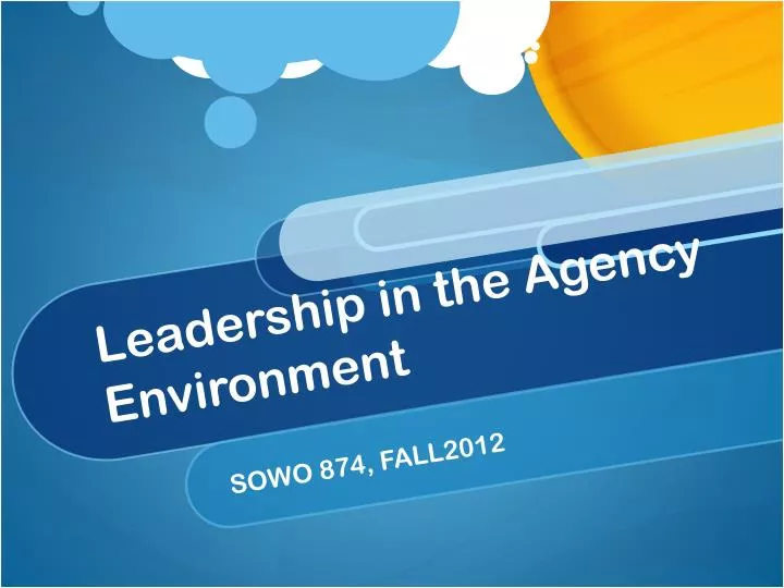 leadership in the agency environment