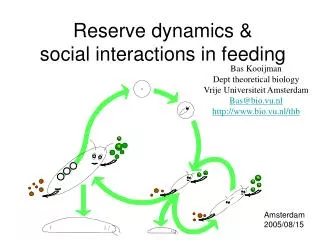 Reserve dynamics &amp; social interactions in feeding