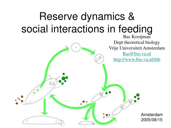 reserve dynamics social interactions in feeding