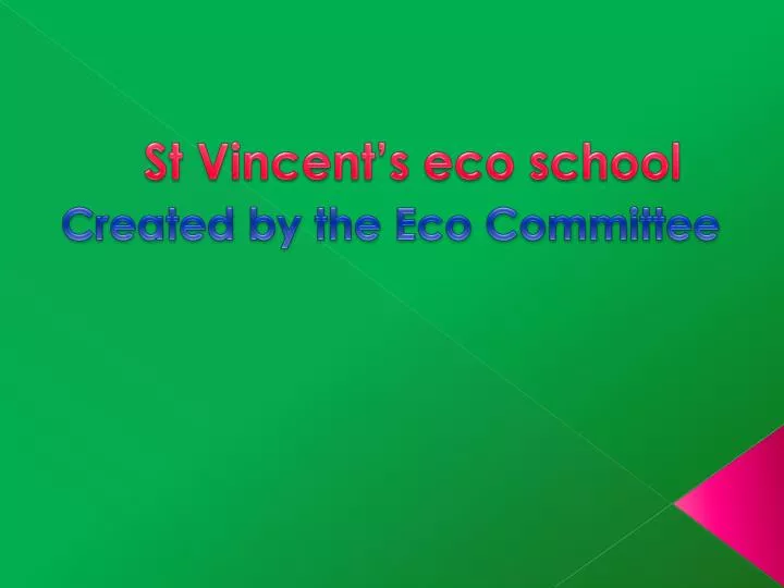 st vincent s eco school