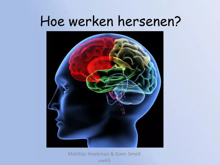 hoe werken hersenen