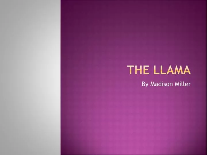 the llama