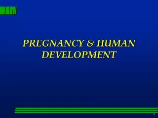 PREGNANCY &amp; HUMAN DEVELOPMENT