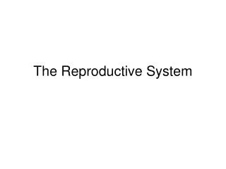 The Reproductive System