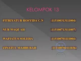 kelompok 13