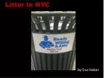 Stop Littering: Protect NYC Environment - slide 1