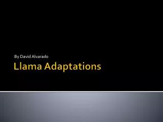 Llama Adaptations