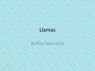 Llamas