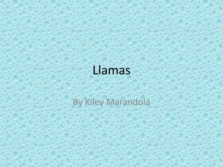 llamas