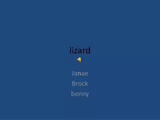 lizard