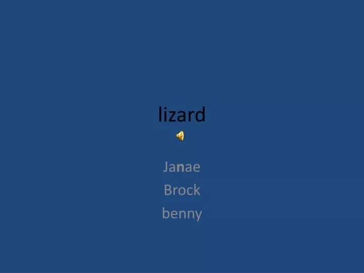 lizard