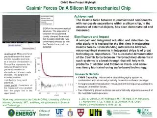 Casimir Forces On A Silicon Micromechanical Chip