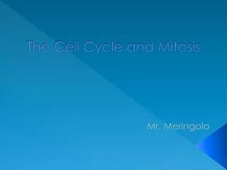 the cell cycle and mitosis