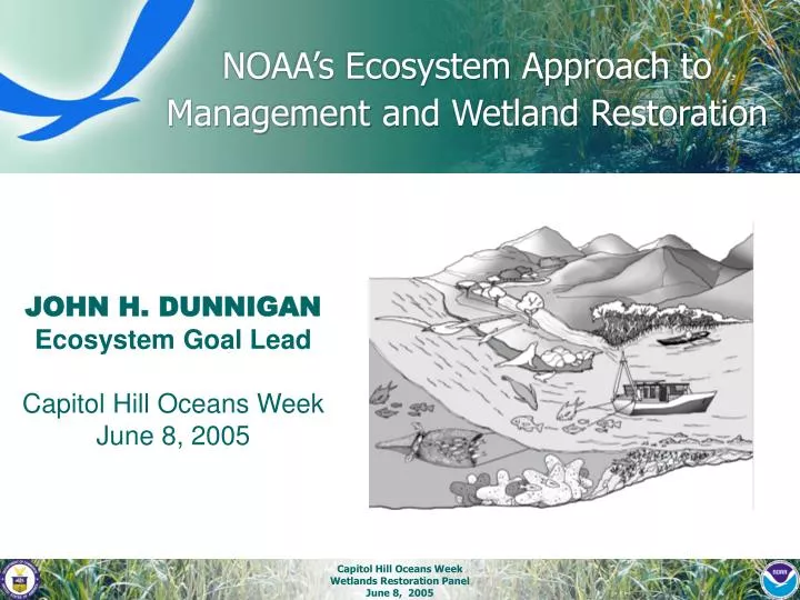 noaa s ecosystem approach to management and wetland restoration