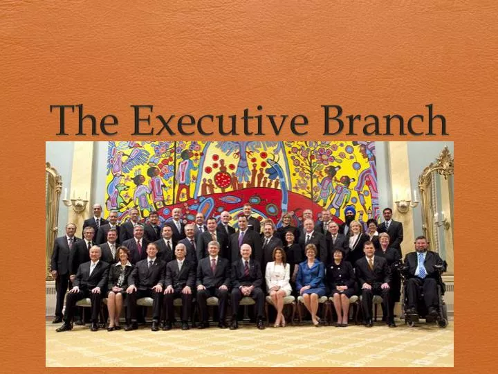 the executive branch