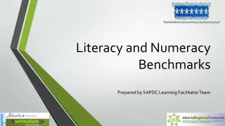 Literacy and Numeracy Benchmarks