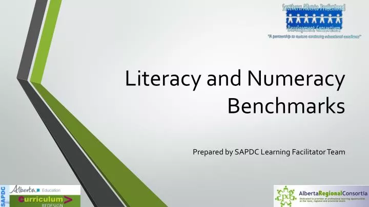 literacy and numeracy benchmarks