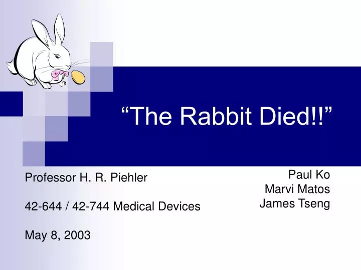 the rabbit died