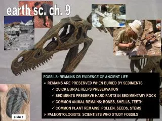 FOSSILS: REMAINS OR EVIDENCE OF ANCIENT LIFE REMAINS ARE PRESERVED WHEN BURIED BY SEDIMENTS