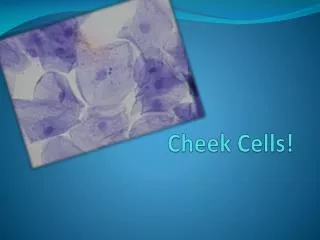 Cheek Cells!