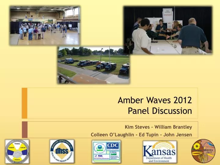 amber waves 2012 panel discussion