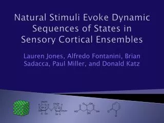 Natural Stimuli Evoke Dynamic Sequences of States in Sensory Cortical Ensembles