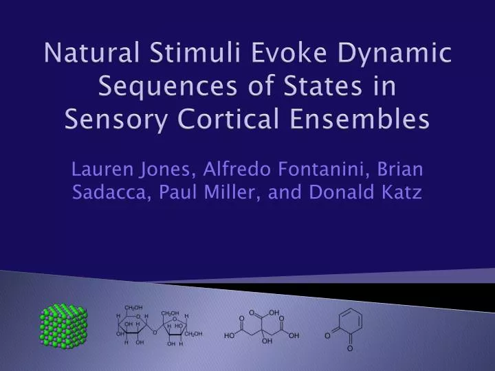 natural stimuli evoke dynamic sequences of states in sensory cortical ensembles