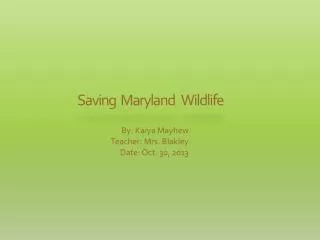 Saving Maryland Wildlife