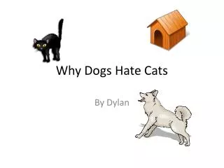 Why Dogs Hate Cats
