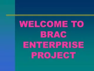 WELCOME TO BRAC ENTERPRISE PROJECT