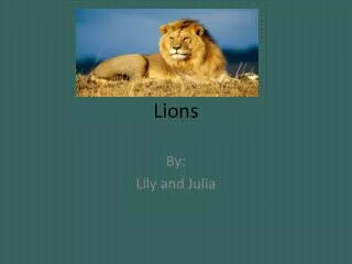 lions