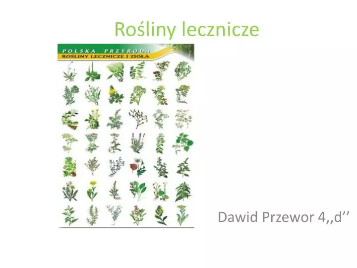 ro liny lecznicze