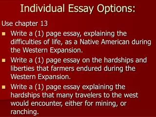 Individual Essay Options: