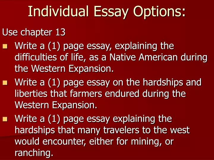 individual essay options