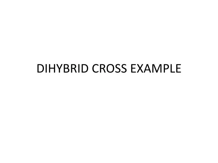 dihybrid cross example