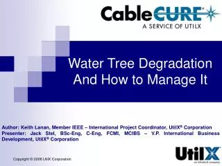 Water Tree Degradation And How to Manage It